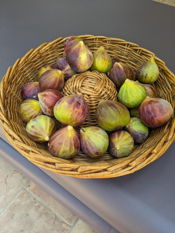 سيلانس Le Clos Sous Le Chemin المظهر الخارجي الصورة
